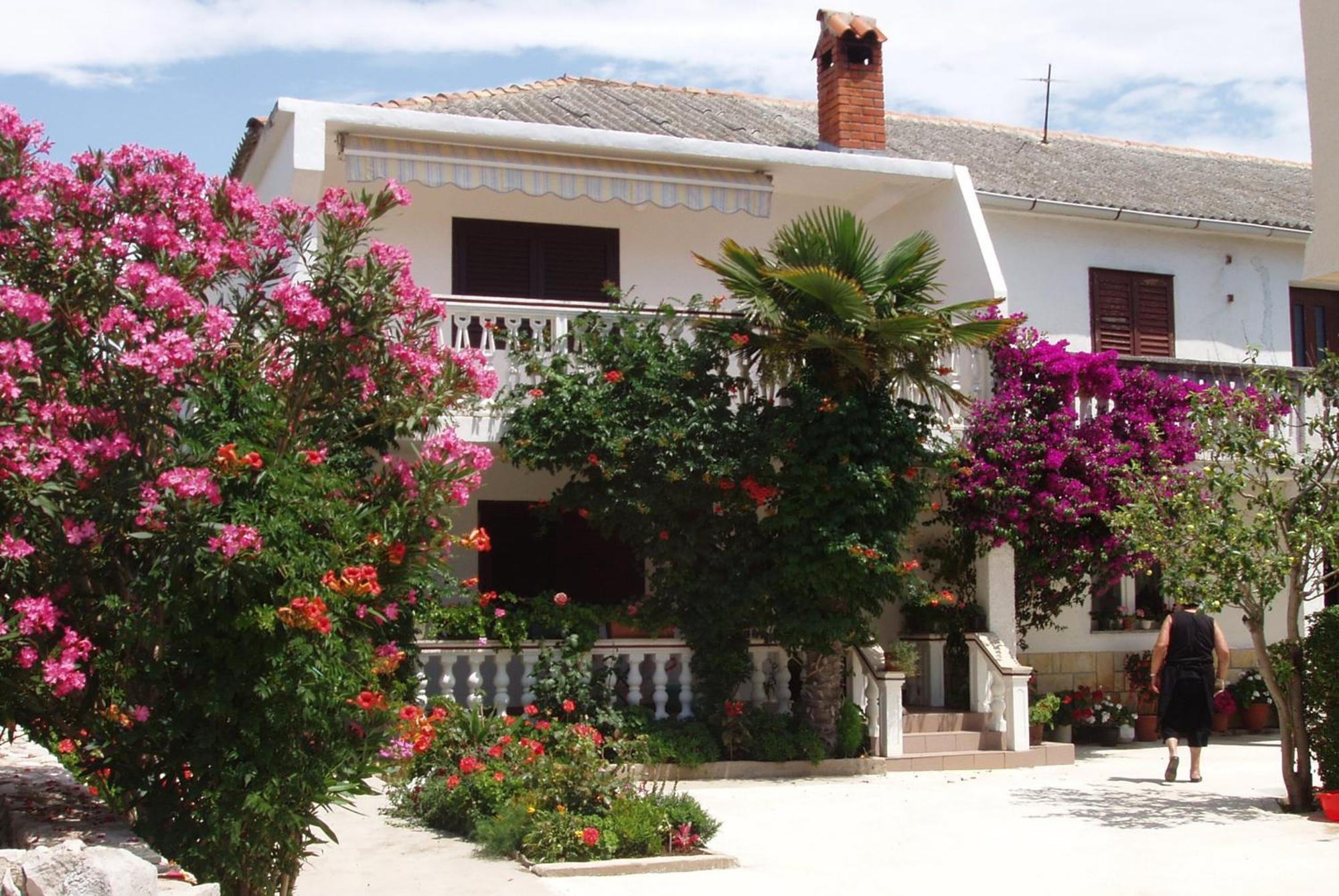 Apartments With A Parking Space Povljana, Pag - 228 Extérieur photo